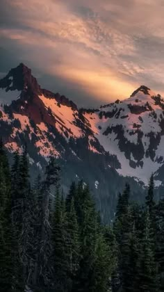 a mountain covered in snow and surrounded by pine trees under a cloudy sky at sunset