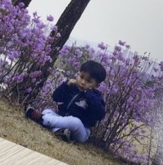 a young boy sitting on the ground in front of some trees and purple flowers,