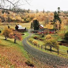 a country road with houses and trees in the background