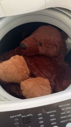 a brown teddy bear sitting inside of a dryer