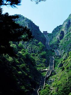 the great wall of china is surrounded by green mountains and greenery on both sides