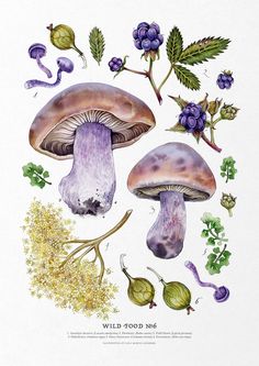 an illustration of some purple mushrooms with green leaves