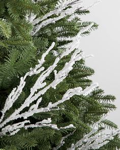 the branches of a pine tree are covered in snow