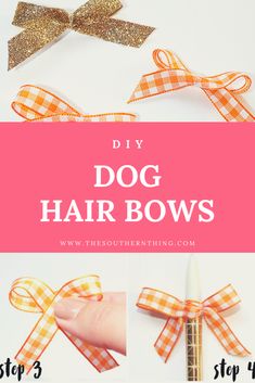 the instructions for how to make dog hair bows with orange and white gingham ribbon