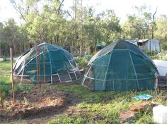 two green domes in the middle of a field