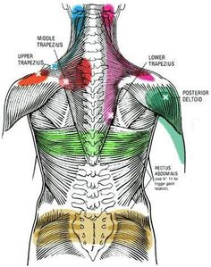 Punkty Spustowe, Myofascial Pain Syndrome, Referred Pain, Muscle Knots, Massage Therapy Techniques, Nerve Health, Trigger Point Therapy, Reflexology Massage, Trigger Point