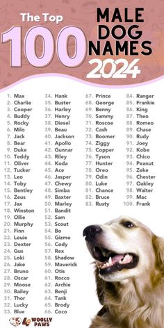 the top 100 male dog names