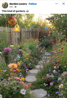 the garden is full of flowers and rocks