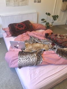 an orange cat laying on top of a bed next to a laptop computer and pillows