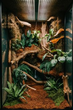 the inside of a glass box with plants and rocks in it, including ferns and other greenery