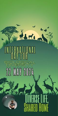 the poster for an event with deer and trees