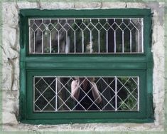 a woman standing in front of a green window with bars on the windowsills