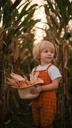 a little boy holding a basket full of corn