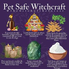 Pagan Spirituality, Teen Witch, Witchcraft Spell Books, Magical Life