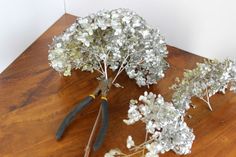 some silver flowers on a wooden table with scissors next to it and another plant that has been cut in half