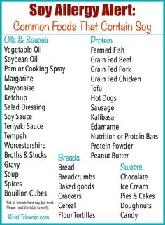 Soy Allergy Alert: Common Foods That Contain Soy Mspi Diet, Soy Free Dairy Free, Peanut Butter Bread, Pan Sin Gluten, Soy Free Recipes