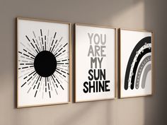 three framed art prints hanging on the wall above a window with sunlight coming through them