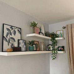 some shelves with plants and pictures on them