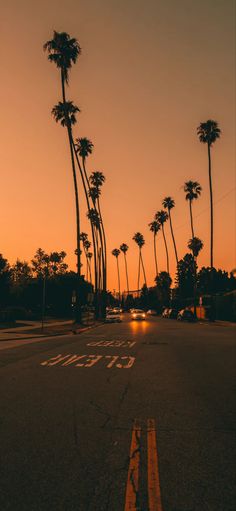 palm trees line the street at sunset