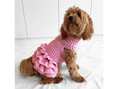 a brown dog wearing a pink sweater on top of a bed