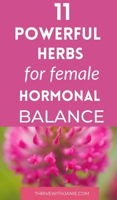 Hormone Diet, Healthy Book, Balance Hormones Naturally, Natural Hormones, Balance Hormones, Healthy Advice