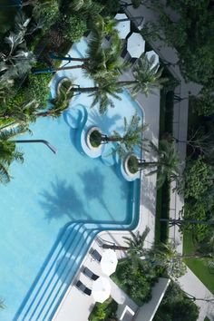 an aerial view of a swimming pool surrounded by palm trees