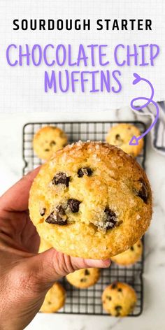 someone holding up a chocolate chip muffin on a cooling rack