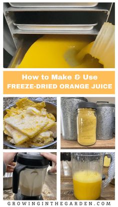 how to make and use freeze - dried orange juice