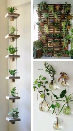 two pictures with plants hanging on the wall and one has an upside down planter