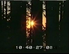 the sun is shining through the trees in the forest with numbers on it and an arrow pointing up