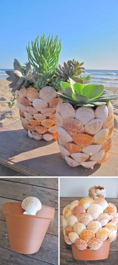 two planters made out of seashells on the beach