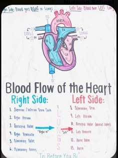 a poster with the words blood flow of the heart right side and left side on it