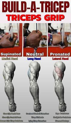 the poster shows how to build a tricep