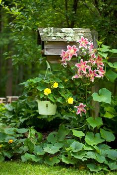 pink and yellow flowers growing in a garden next to a wooden birdhouse on the grass