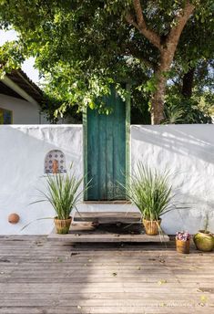 two potted plants sitting on top of a wooden table next to a white wall