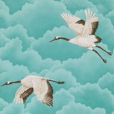 two birds flying in the sky with clouds and green paint on it's walls