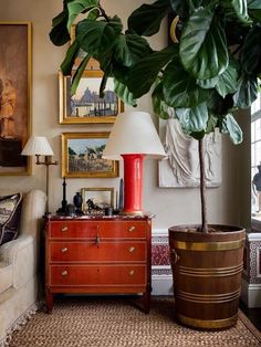 a living room filled with furniture and a potted plant