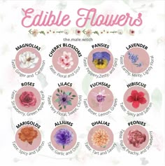 edible flowers are the most popular flower in the world, according to their names and colors