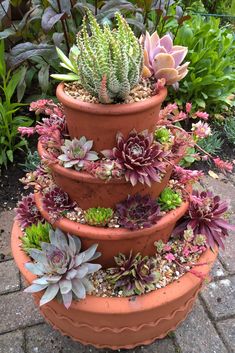 three tiered planter filled with succulents