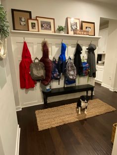 a dog standing in front of a bench with coats hanging on the wall behind it