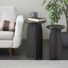 a living room with a chair, table and potted plant on the floor next to it