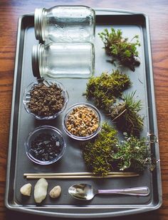 an assortment of herbs and rocks on a tray