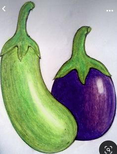 a drawing of two eggplant and an onion