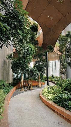 the walkway is lined with trees and plants