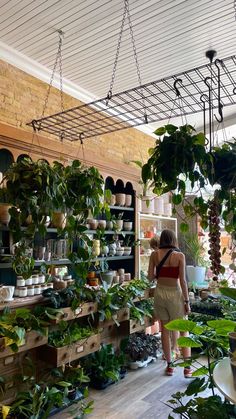 a woman looking at potted plants in a shop with shelves and hanging planters