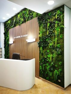 an office with a green wall and white reception desk in front of the lobby area