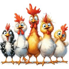 four chickens standing next to each other on a white background