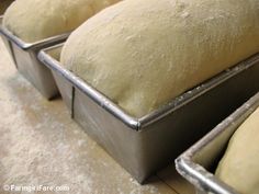 three pans filled with bread sitting on top of a counter