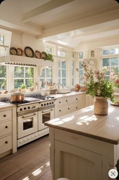 a kitchen with white cabinets and an island in the middle, surrounded by potted plants