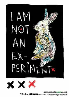 a drawing of a rabbit with the words i am not an ex permit